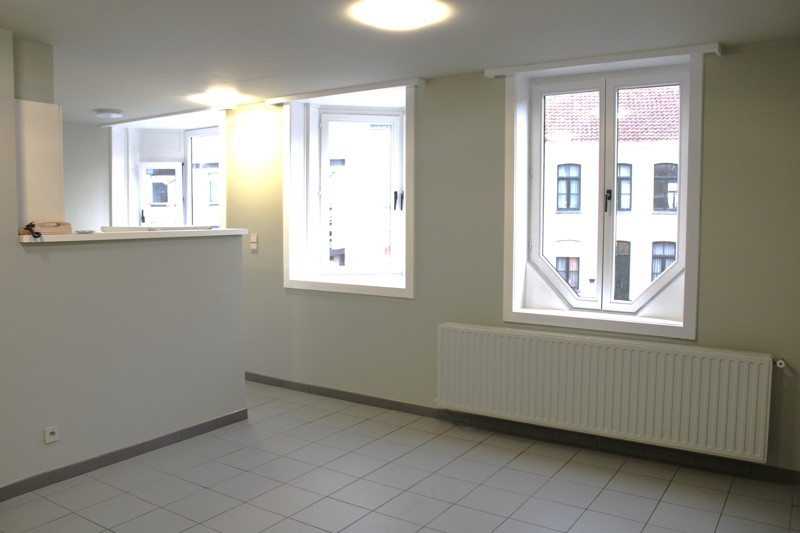 Tweeslaapkamer appartement in het centrum van Sint-Baafs-Vijve ZONDER SYNDICKOSTEN! - foto 4