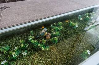 Ruim twee slaapkamer appartement in stijlvol gerenoveerde herenwoning!Een indrukwekkende, marmeren inkomhal leidt ons via een wenteltrap en/of lift...