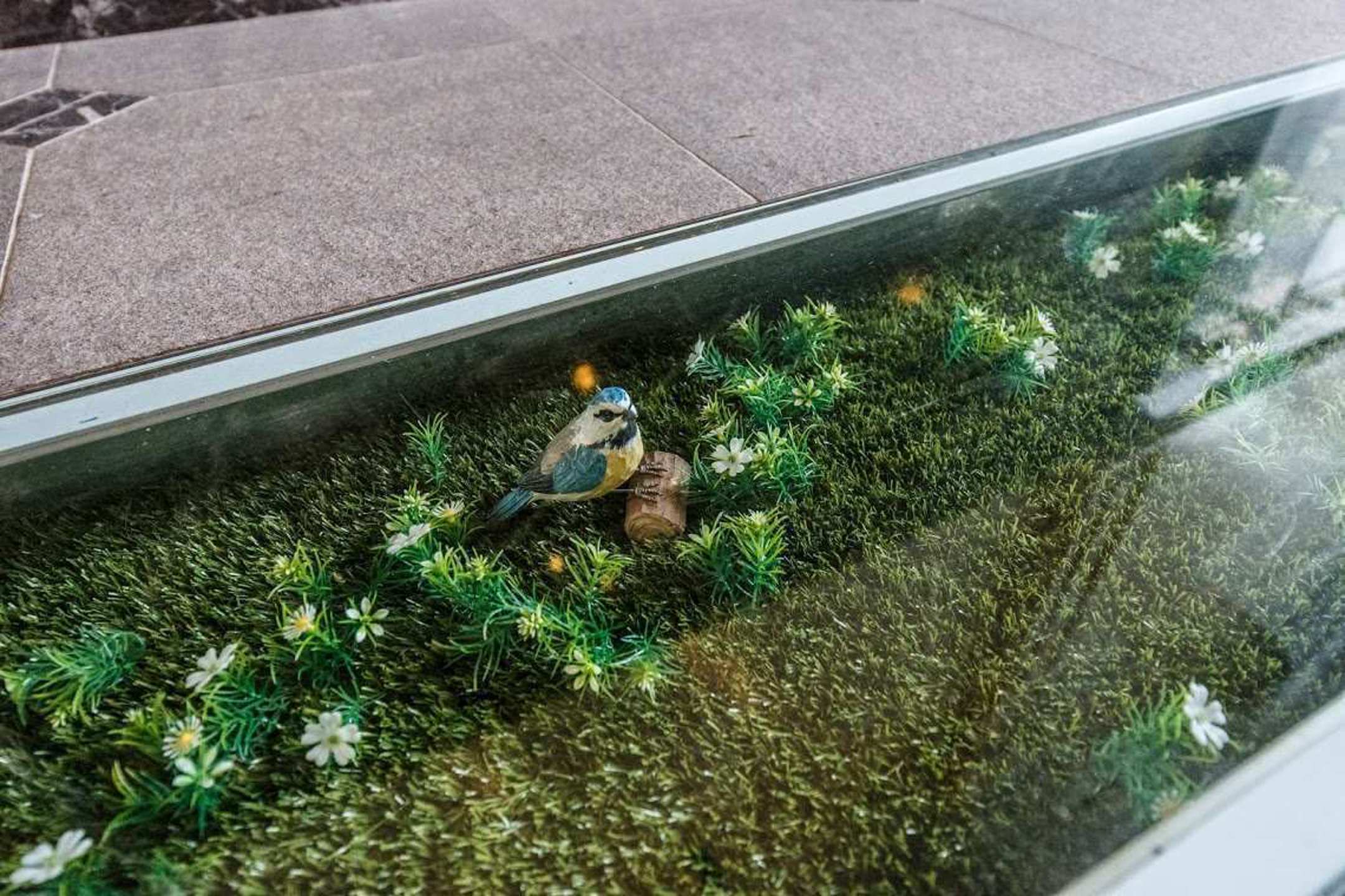 Ruim 2-slk appartement in stijlvol gerenoveerde herenwoning - foto 3