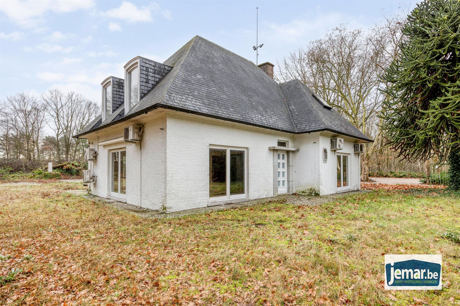 Villa met professionele opslagruimte, kelder en kantoorruimtes. - foto 4