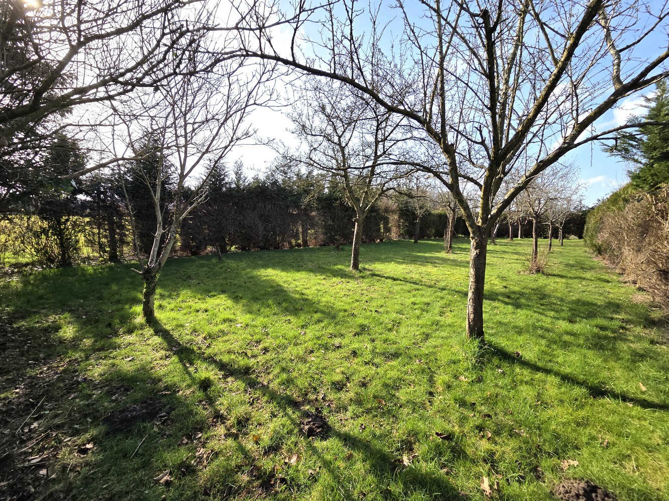 Maison à vendre à Heist-Op-Den-Berg avec 5 chambres - photo 4