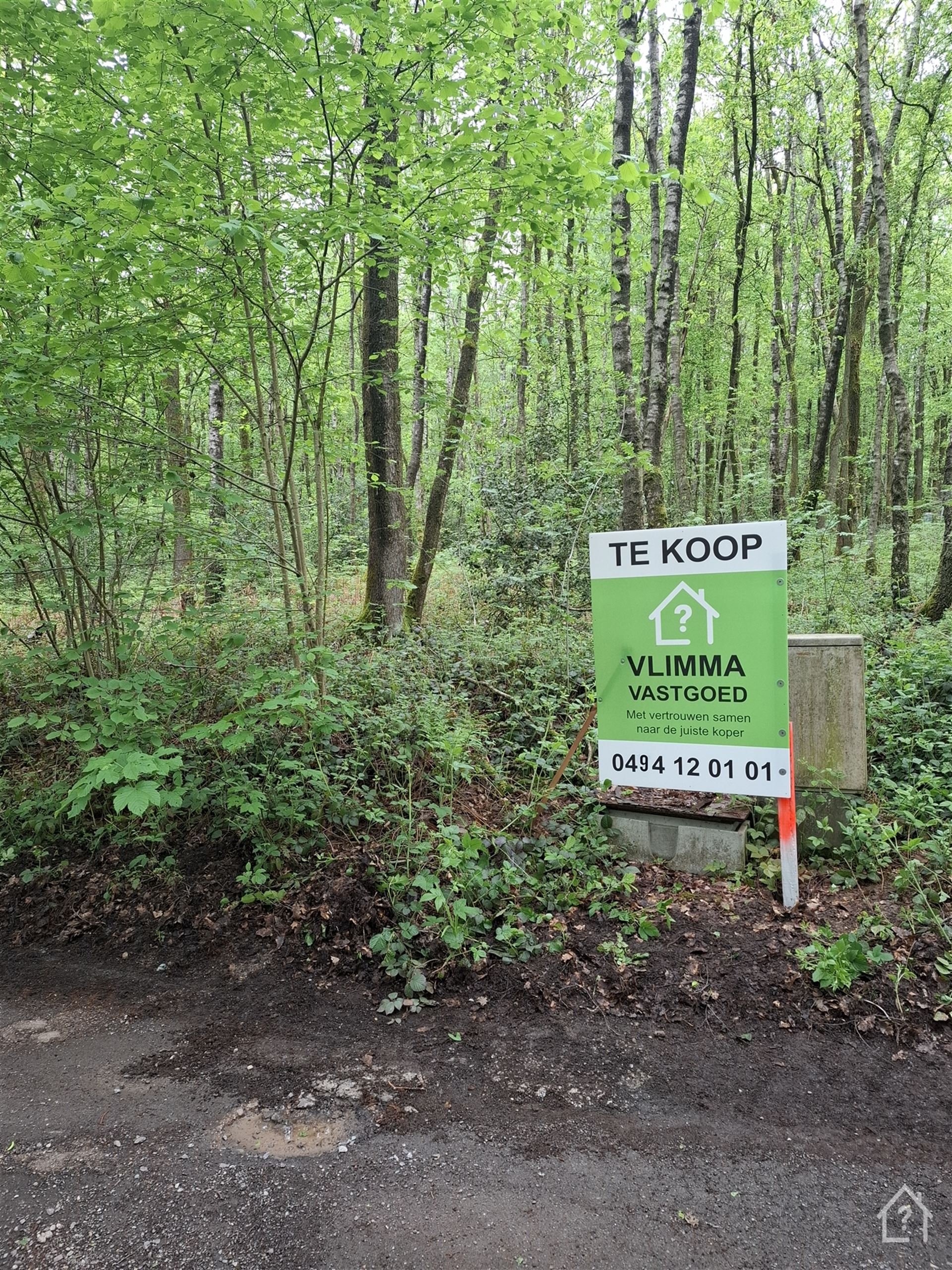 Terrain - photo 3