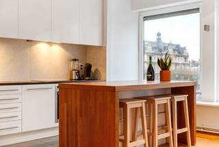 Dit stijlvolle appartement biedt een ideale combinatie van comfort en investering. Gelegen op een toplocatie, heb je een prachtig uitzicht op de Opera, het vernieuwde Operaplein en de Antwerp Tower, met winkels, restaurants en openbaar vervoer op loopafstand.<br /><br />De ruime woonkamer met hoge plafonds en houten vloeren biedt veel natuurlijk licht en een open, moderne sfeer. De volledig uitgeruste keuken beschikt over een kookeiland, inductiekookplaat, oven, vaatwasser en ingebouwde koelkast. De loft-slaapkamer is discreet gescheiden en heeft een verborgen dressing.<br /><br />De recent gerenoveerde badkamer heeft een ligbad, wastafel, toilet en ruimte voor wasmachine en droger. Het appartement is bereikbaar via een beveiligde deur en heeft dubbele beglazing voor extra comfort.<br /><br />Met de Meir en Rooseveltplaats om de hoek, is dit appartement de perfecte keuze voor wie het stadsleven wil ervaren.<br /><br />EPC : 176 kWh/m² - Vg - Wg - Gmo - Gvkr - Gvv