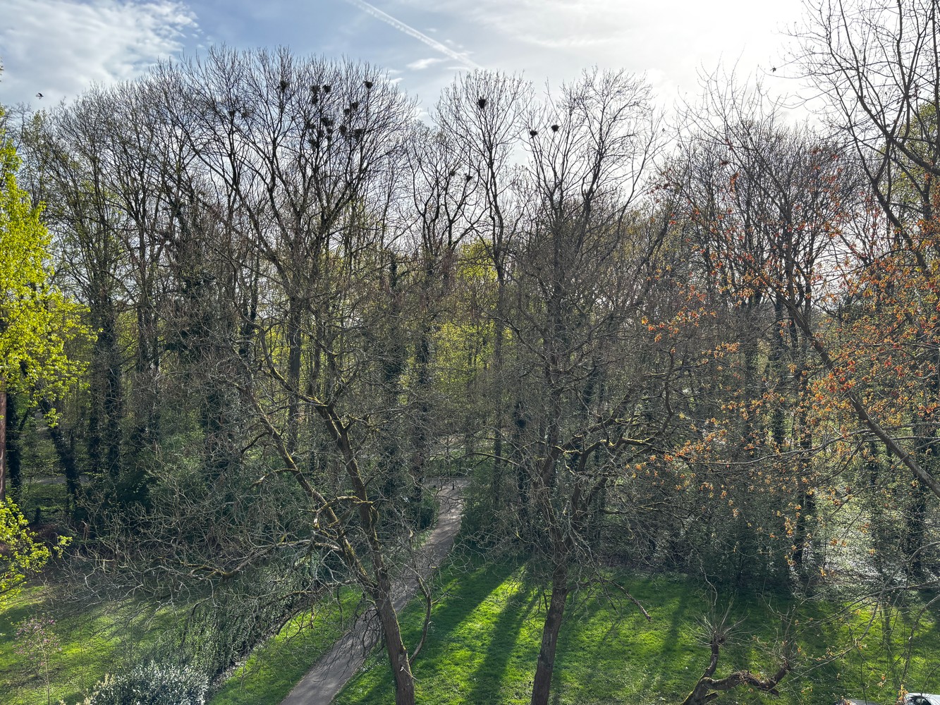 Gerenoveerd appartement met garagebox in bosrijke omgeving! - photo 5