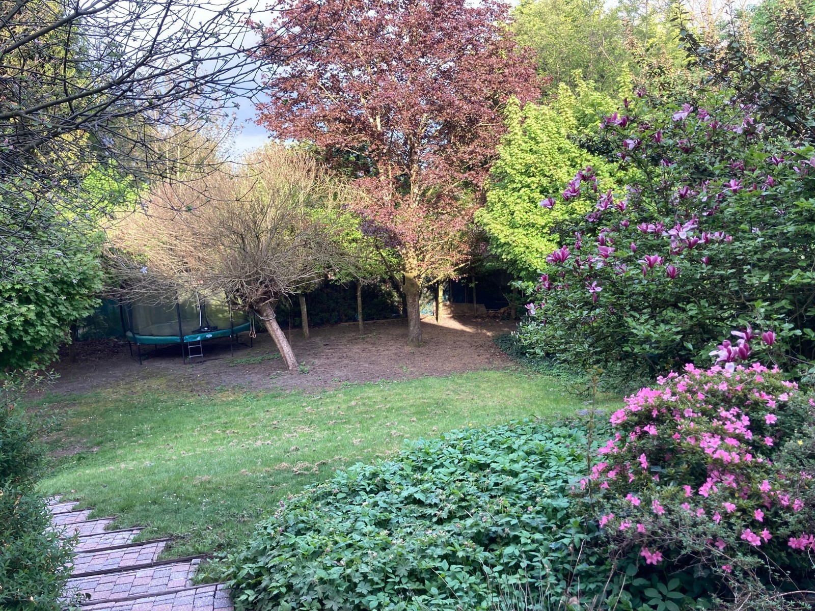 HERENTALS - Zeer ruime woning op een perceel van 1206 m² - foto 5