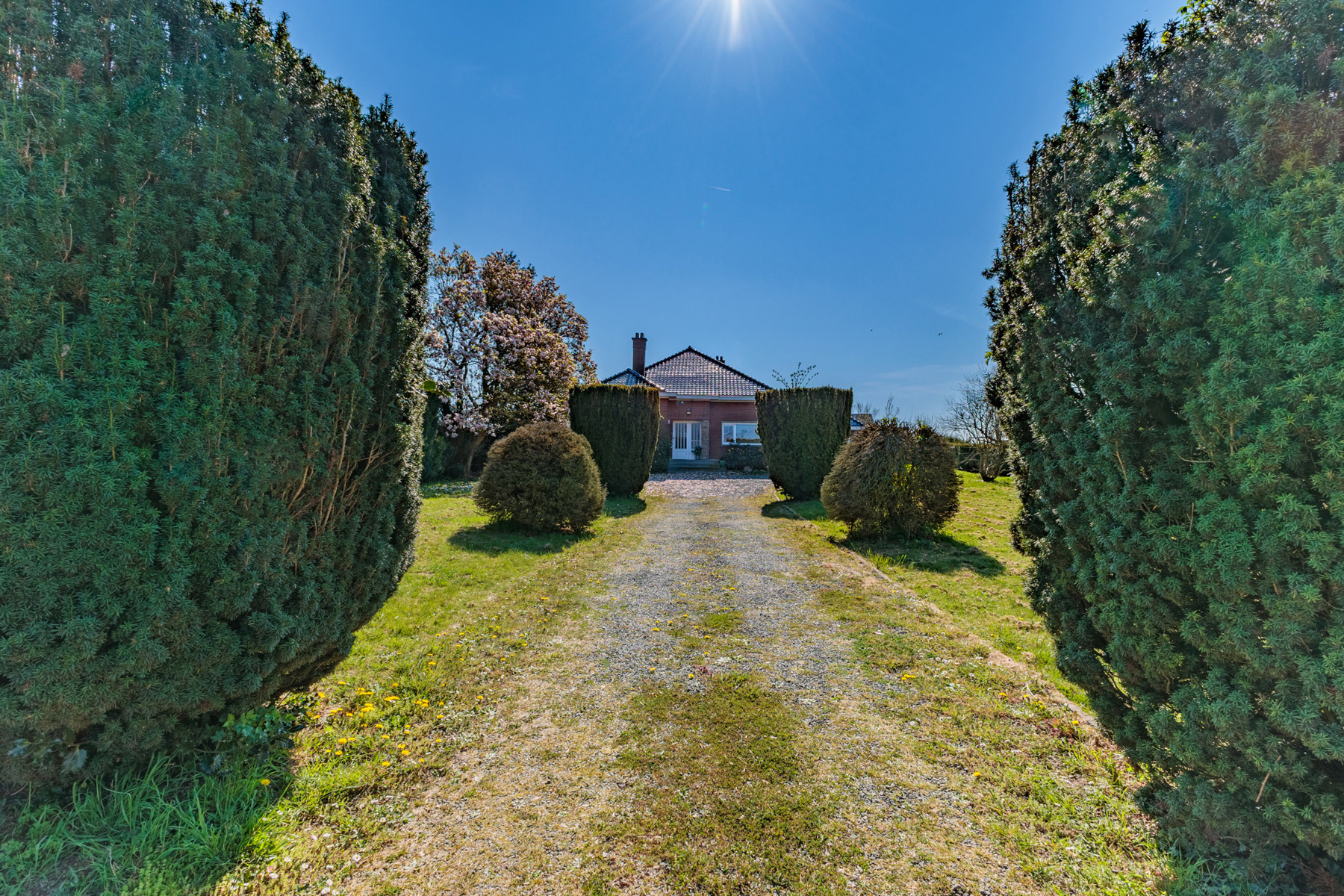 Ruime villa met 5 slaapkamers en zwembad - foto 4