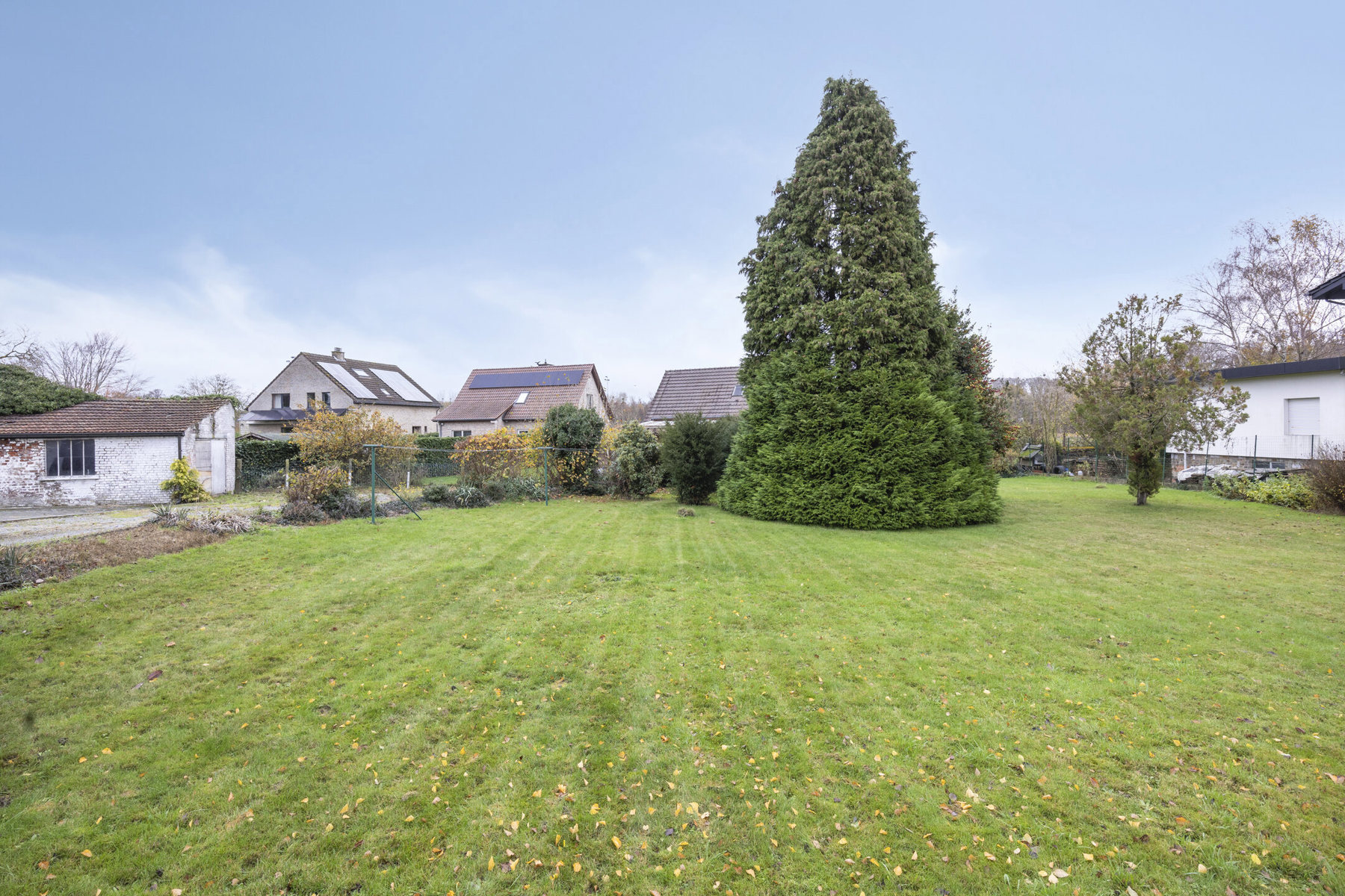 Grond te koop in Bierbeek - foto 2