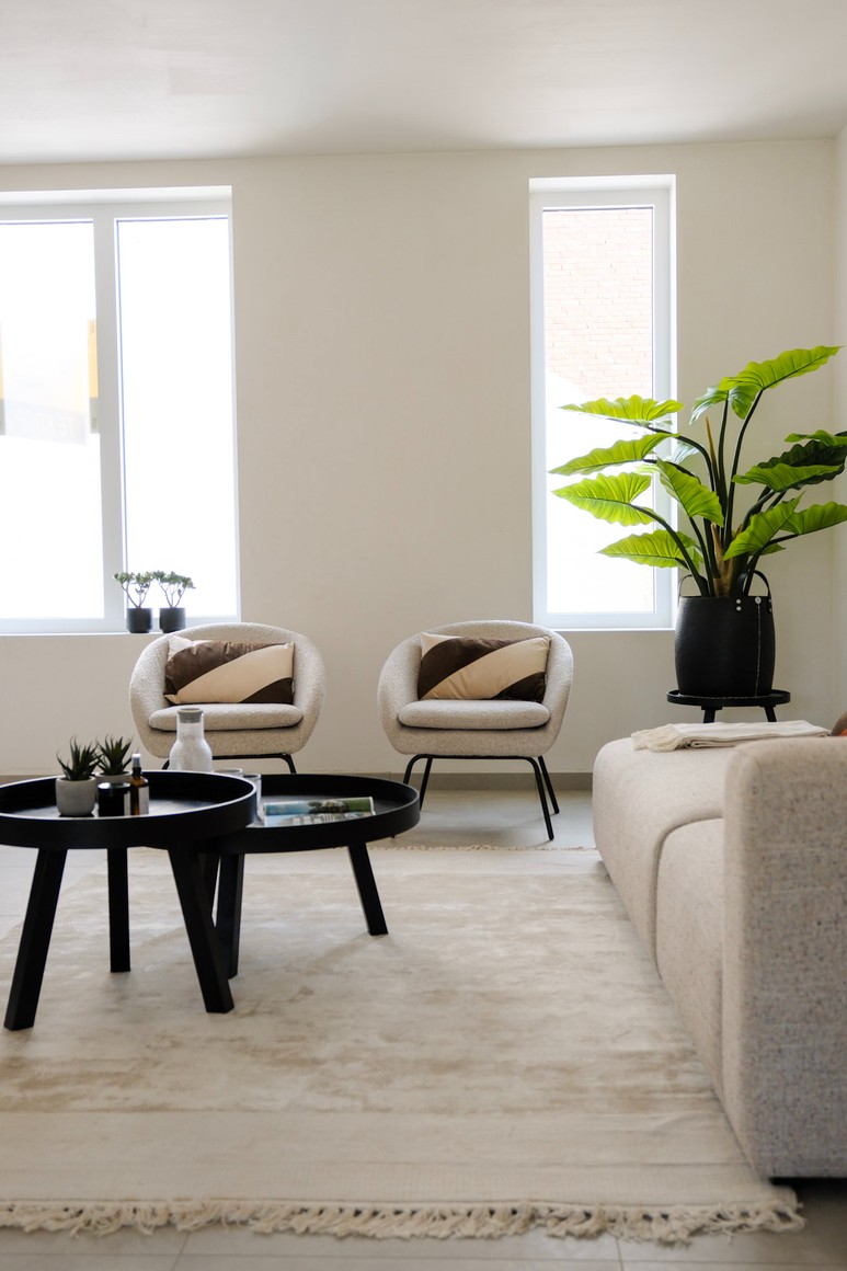 LOT 3 - Molenstraat - foto 4