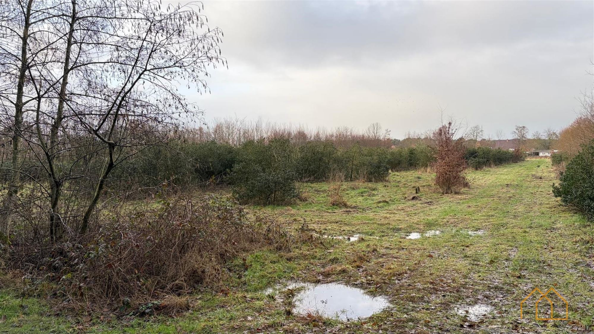 Landbouwgrond van 8600m² in Ten Aard - foto 5