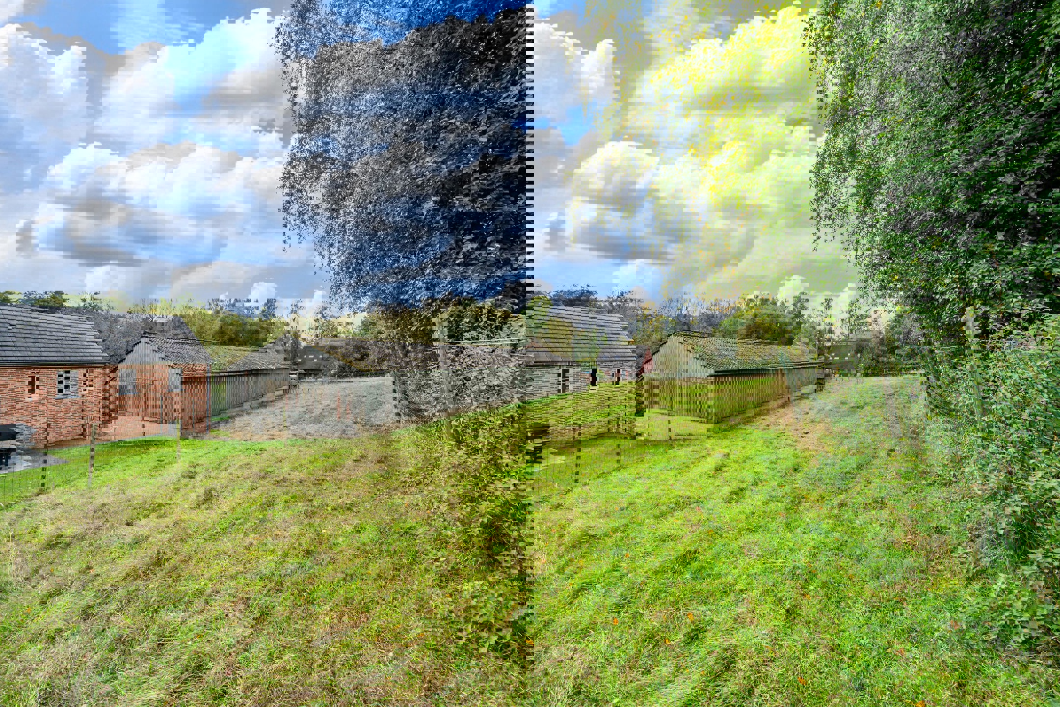 Land for sale in Burdinne - photo 5