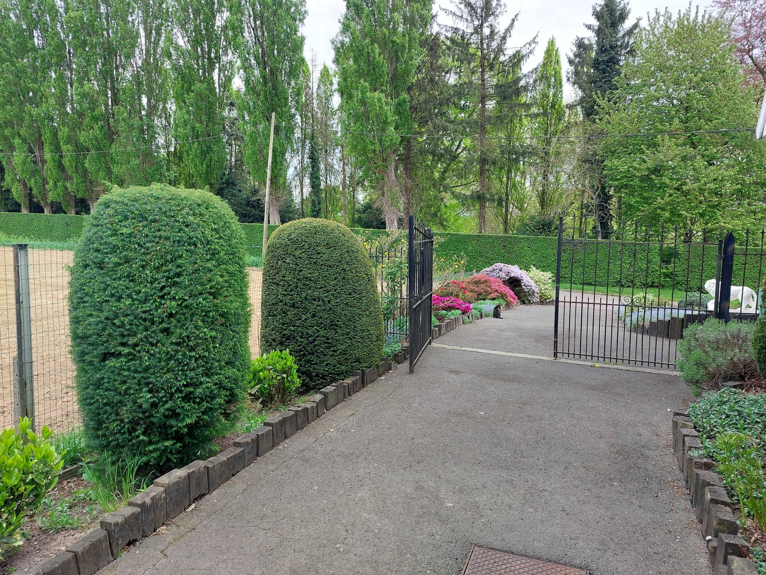 Huis te koop in Meise met 3 slaapkamers - foto 5