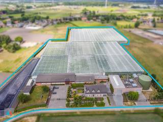 Op een uitstekende locatie in het landelijke Meer (Hoogstraten) bevindt zich dit volledig operationele glastuinbouwbedrijf met bijhorende...