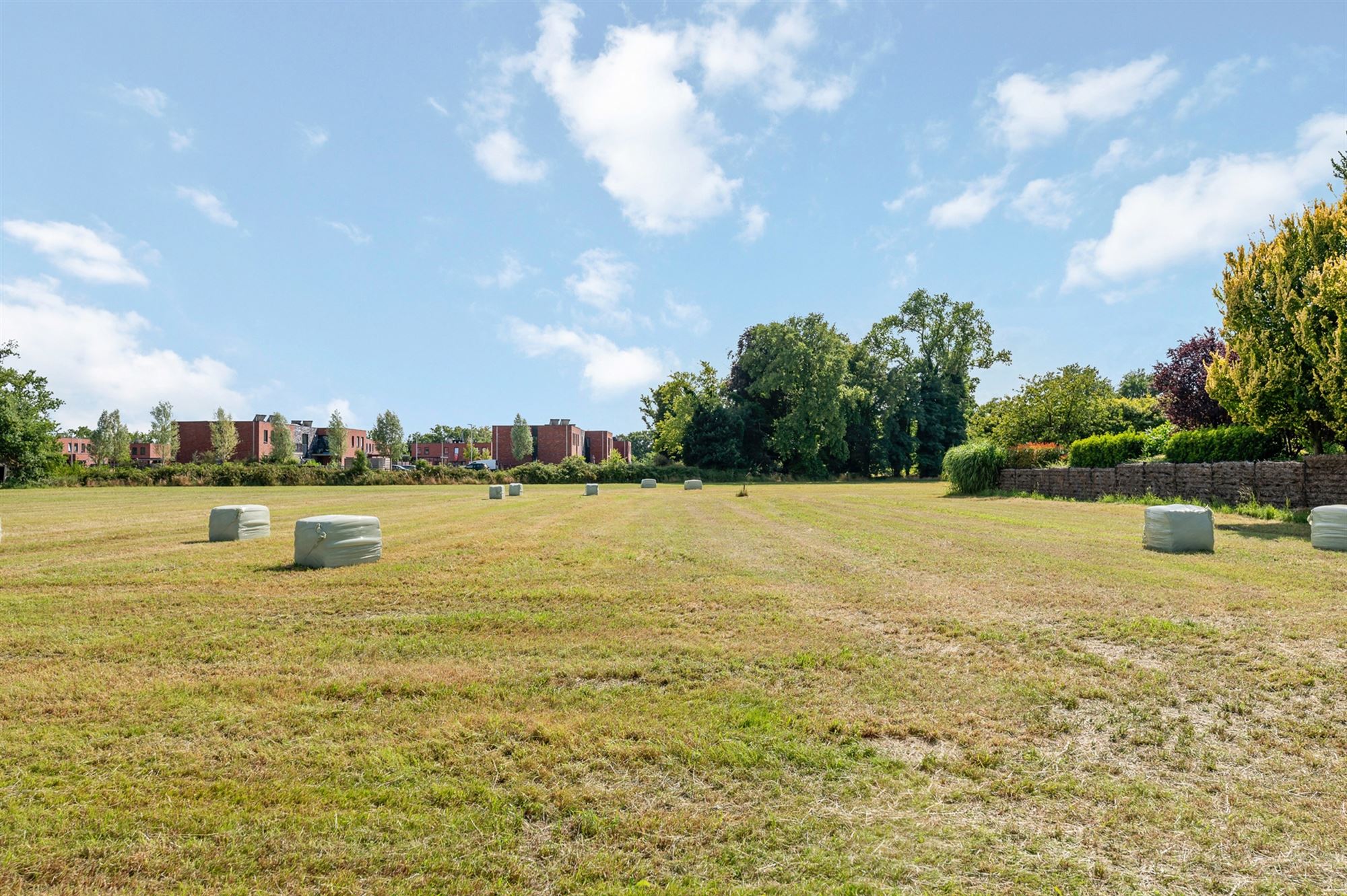 Terrain à vendre à Balen - photo 1