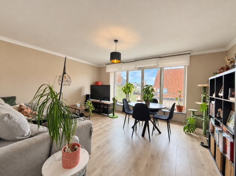 Lichtrijk appartement met terras tussen Dampoort en Sint-Jacobs - photo 2
