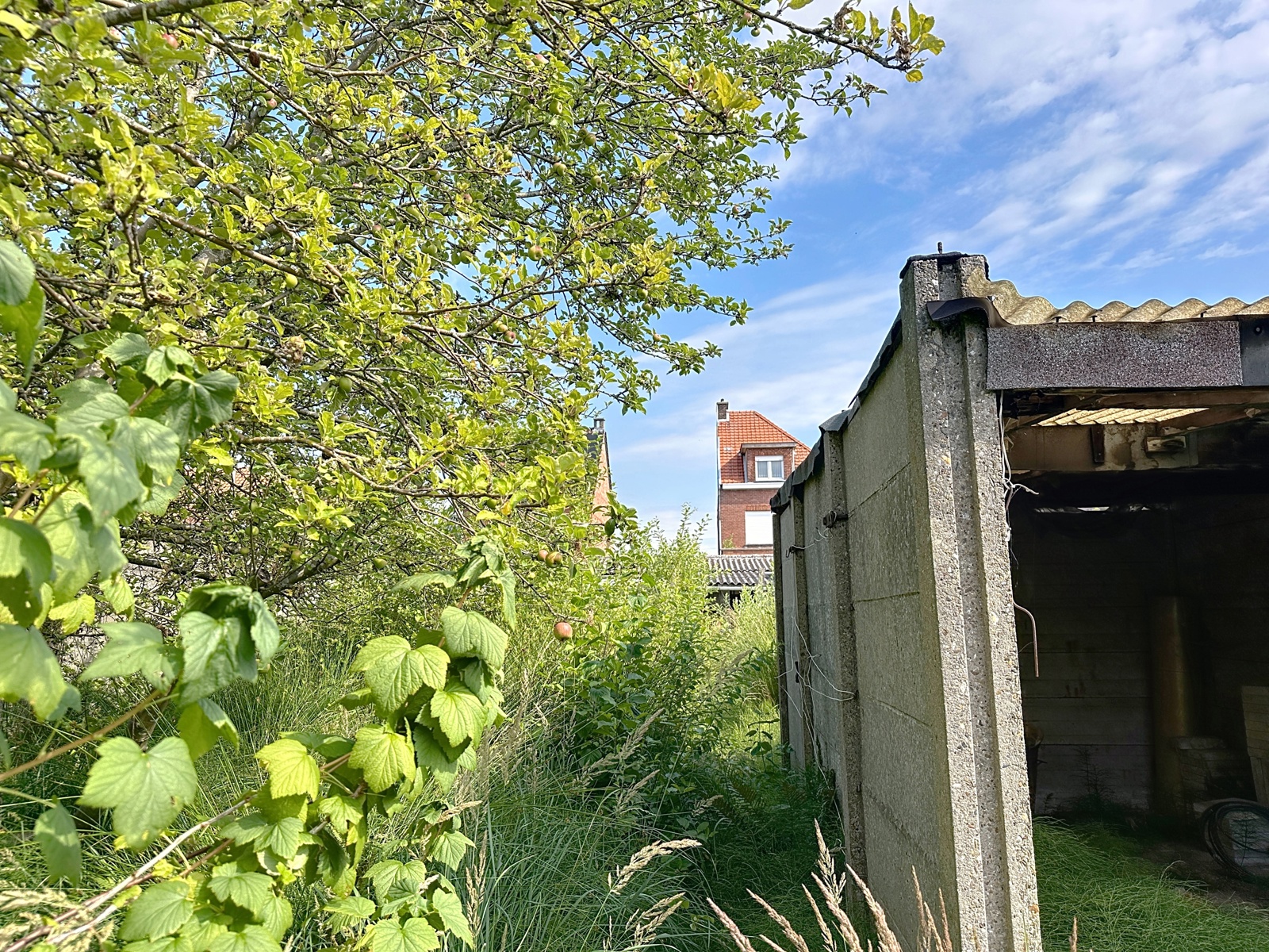 Centraal gelegen, te verbouwen woning. - foto 5