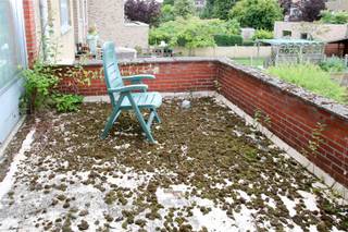 Gezinswoning, type bel-etage, gelegen in een rustige woonwijk nabij winkels , scholen, winkels en openbaar vervoer. Vlotte verbinding naar de A12...