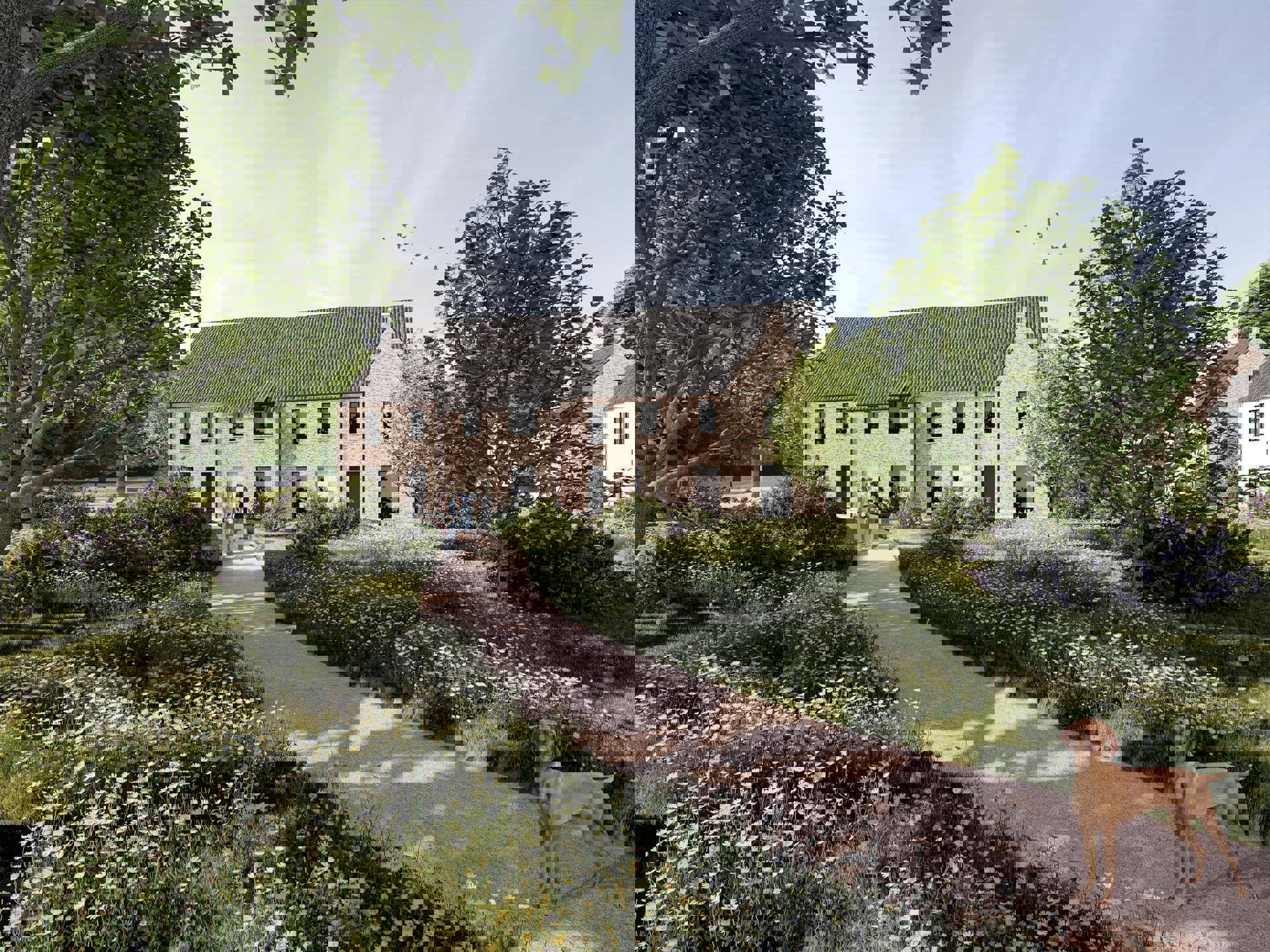 Project Hoogveld Wilsele - woning 13 - foto 5