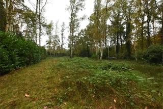 Deze chalet is gelegen op een uiterst rustige locatie, volledig in het groen. Toch is het centrum van Herselt vlakbij, wat ervoor zorgt dat alles binnen handbereik blijft. Verder zijn er directe verbindingen naar Herentals, Westerlo, Aarschot en Heist-op-den-Berg. <br /><br />Bij binnenkomst valt meteen de ruime living met hoog plafond op, waardoor je een ruim gevoel hebt. Daarnaast is er een instapklare badkamer met douche. Verder is er nog een apart toilet. <br /><br />De leefruimte voorbij kom je via een verhoog de eerste slaapkamer tegen. Daarnaast is de keuken gelegen met aansluitend nog een kamer die momenteel dienst doet als berging, maar ruim genoeg is om als tweede slaapkamer te dienen. <br /><br />Buiten is er nog een ruime garage, voorzien van elektriciteit en water. Verder zijn de mogelijkheden op een perceel van 2826 m² oneindig. <br /><br />- Permanent wonen is niet mogelijk<br />- Leefruimte voorzien van vloerverwarming<br /><br />Aarzel niet om ons te contacteren voor verdere informatie!