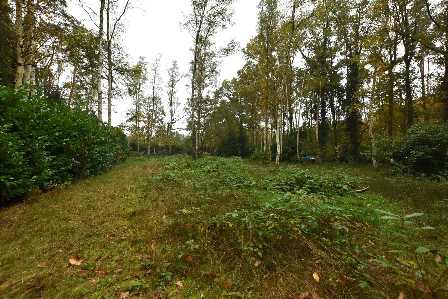 Gezellige chalet gelegen op ruim perceel - foto 3