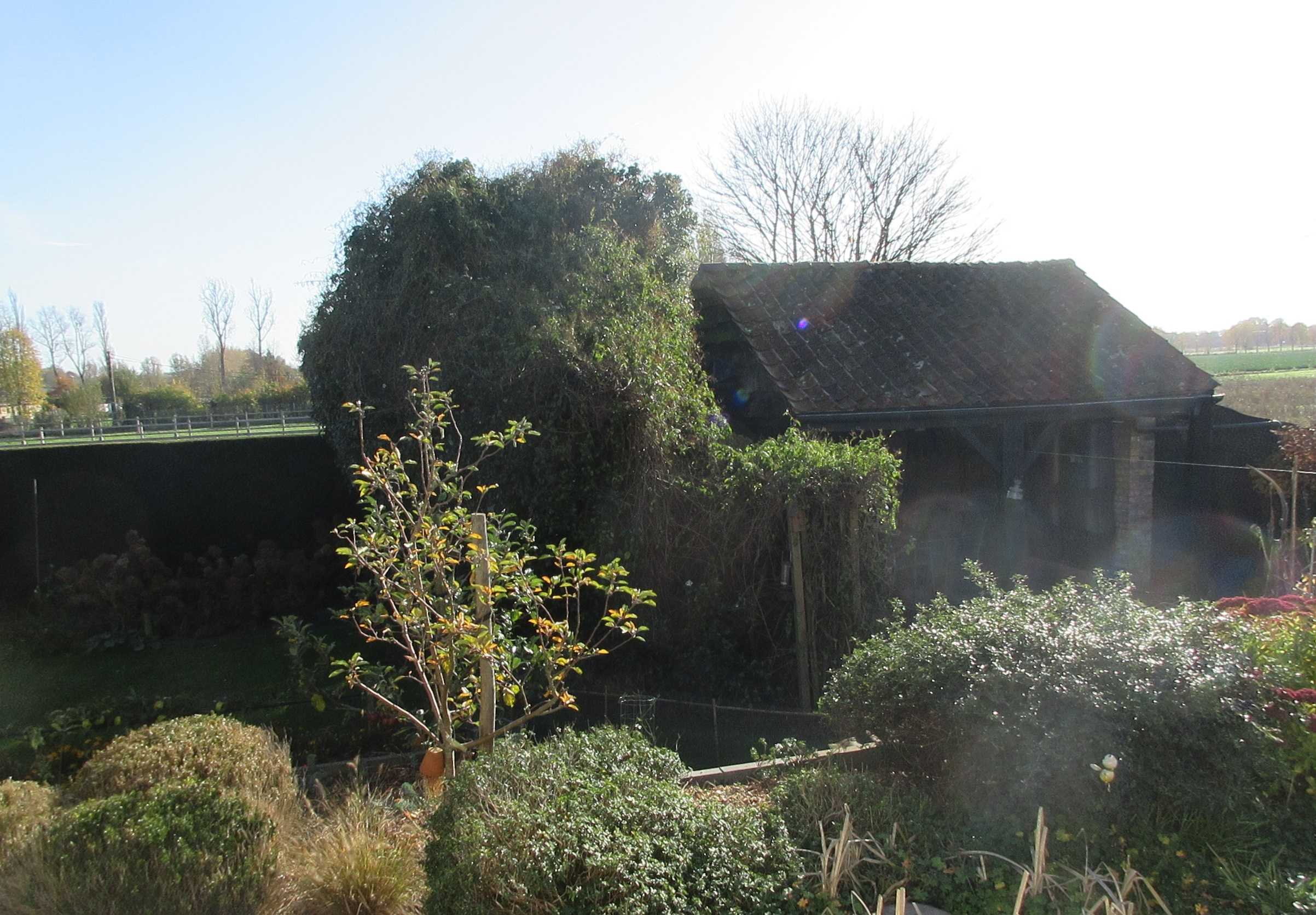 Huis te koop in Veldegem met 3 slaapkamers - foto 3