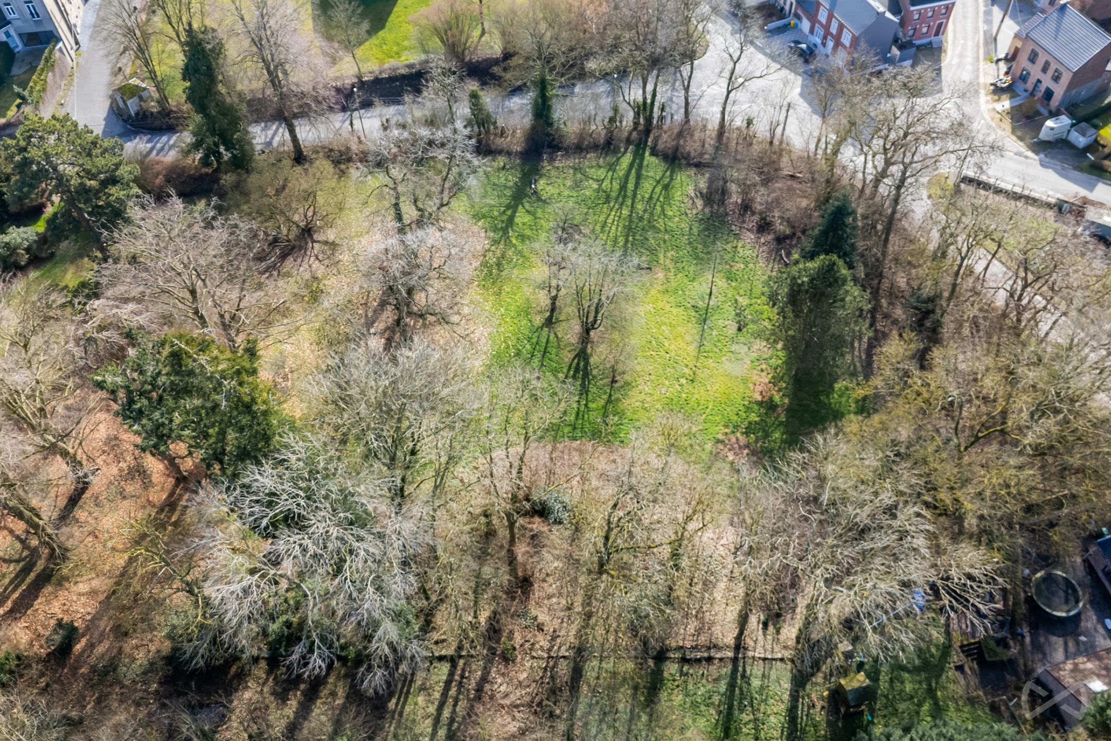 Grond te koop in Avernas-Le-Bauduin - foto 4