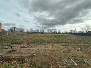 Terrain à vendre à Westerlo