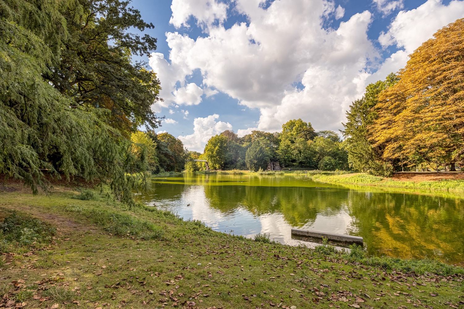 IN OPTIE: kevin@wellimmo.net voor meer info! Deels te renoveren studio (44m²) op toplocatie aan het Stadspark met gunstig EPC (B)! - foto 2
