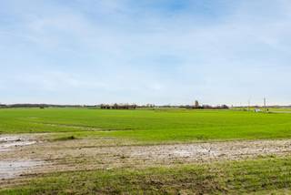 Terrain à vendre à Zedelgem