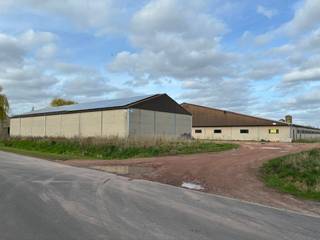 Loods en zeugenstal zijn nieuw gebouwd in 2010.De loods van 490 m² is vernieuwd en verhuurd.De zeugenstal van 2.300 m² is volledig ontruimd, vooraan...