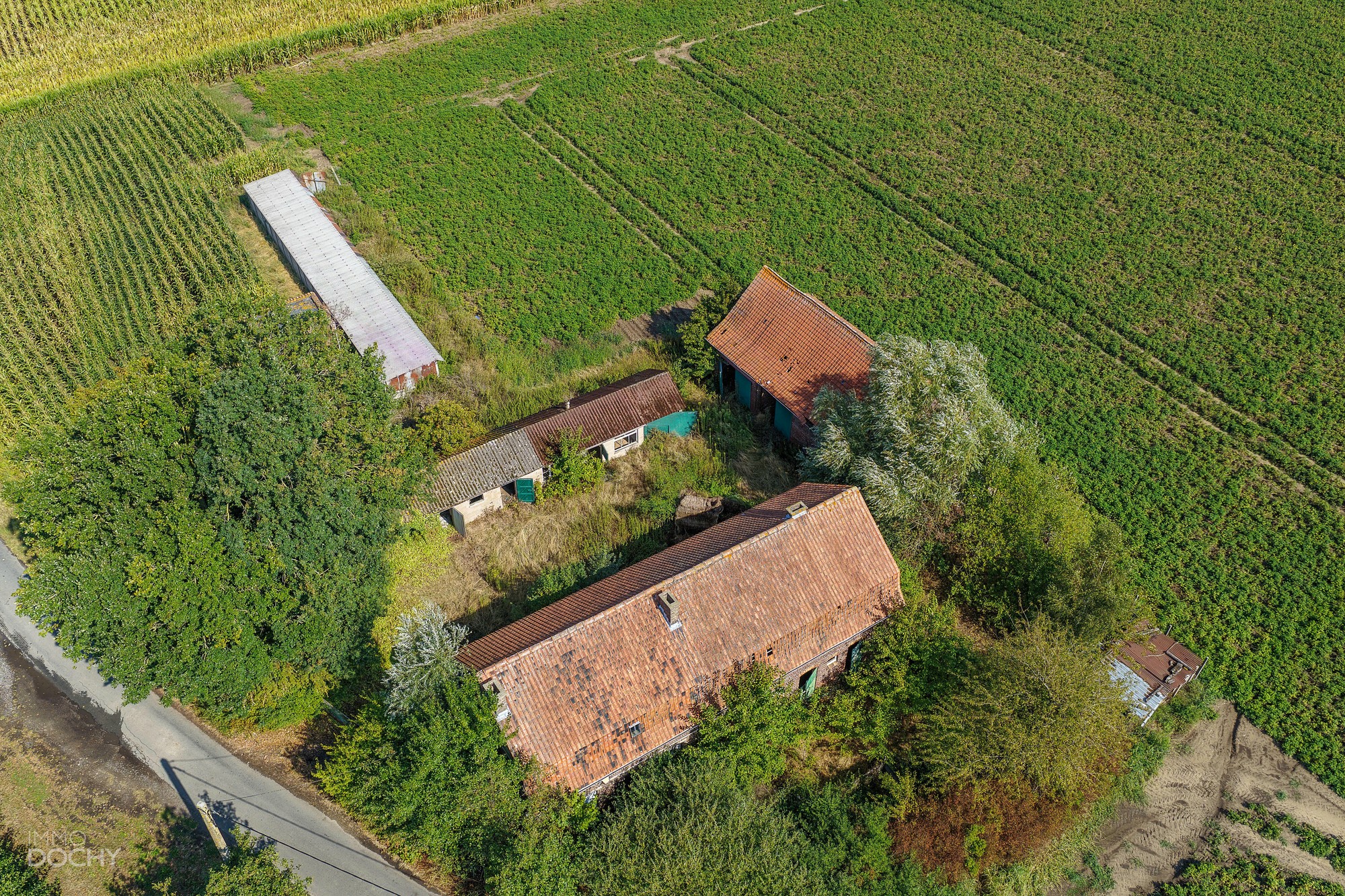 Hoeve op ca 7ha met vergunning voor nieuwbouw - foto 4