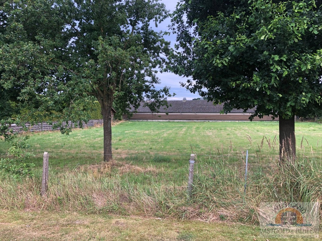 Land for sale in Houthulst - photo 5