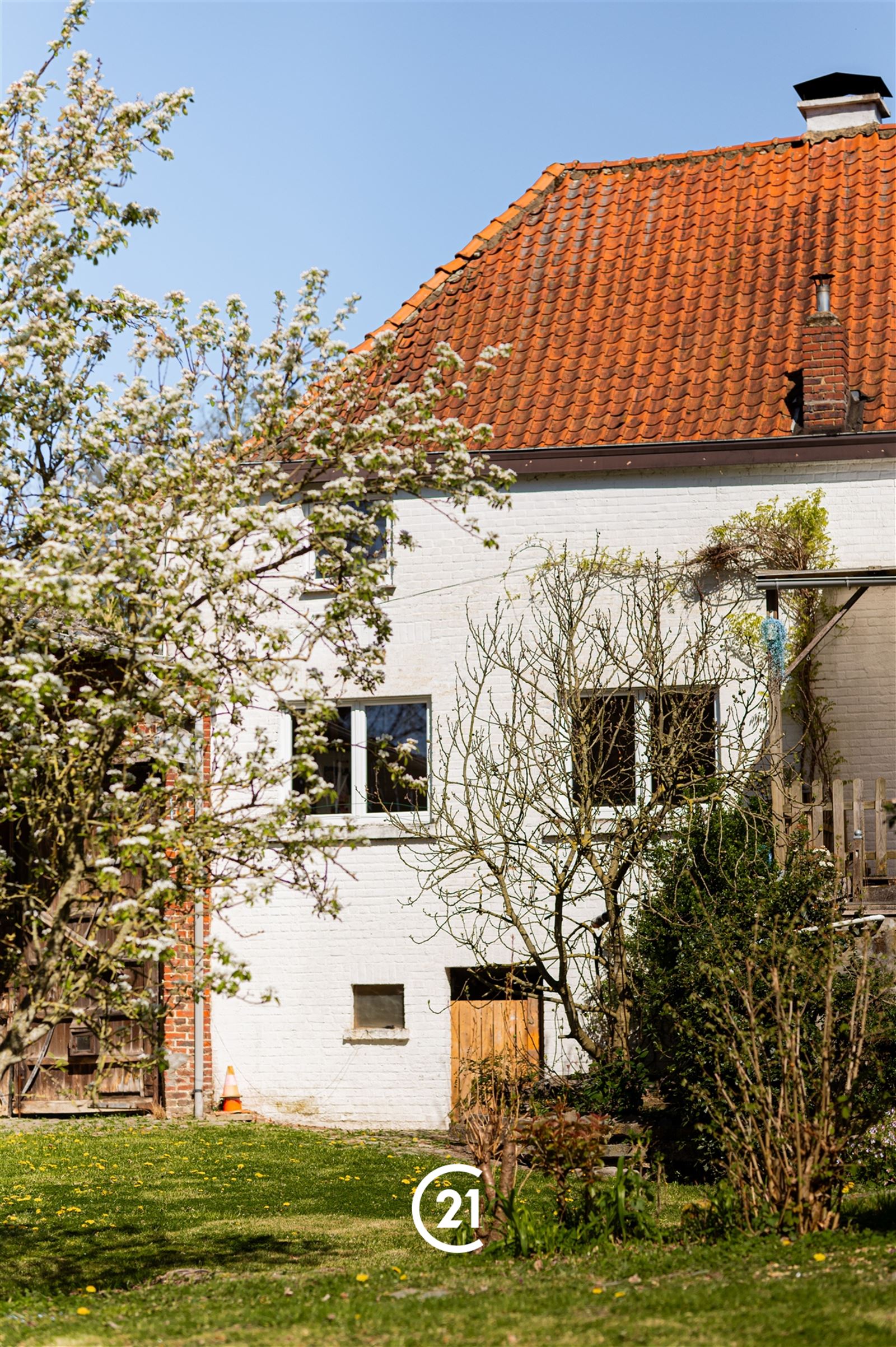 House - photo 4