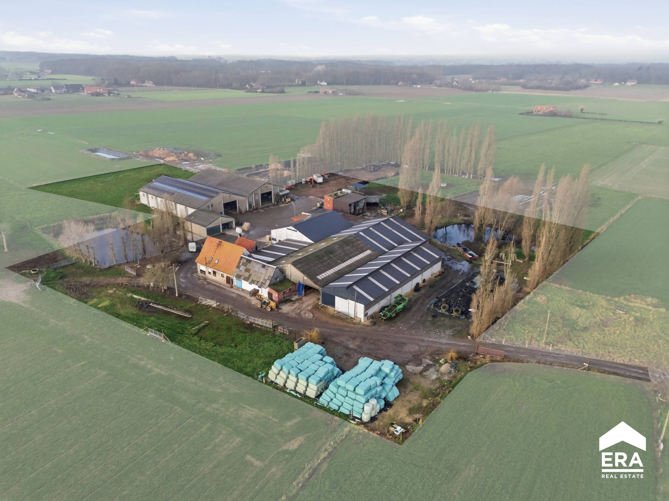 Te koop: landbouwbedrijf in Poperinge - foto 3