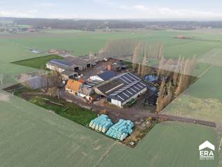 Te koop: draaiend landbouwbedrijf in de Sint-Sixtusstraat, Poperinge. Deze boerderij uit 1957 biedt een solide basis voor wie op zoek is naar een...