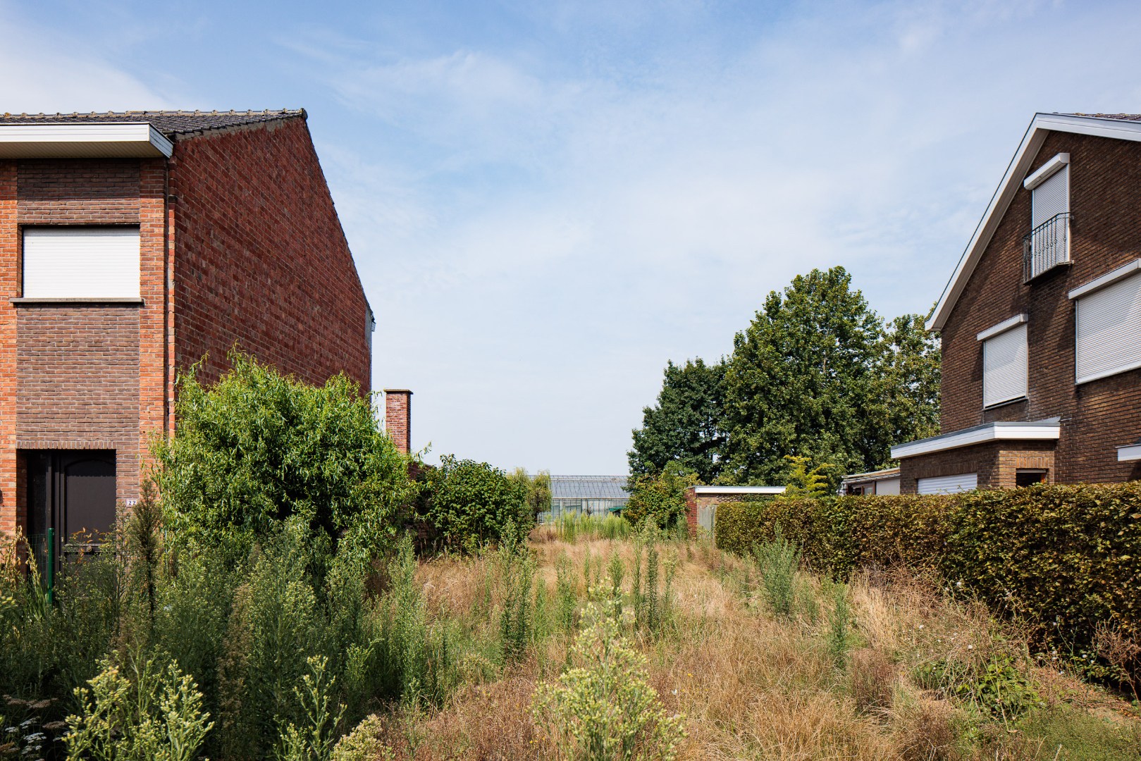 Land for sale in Lochristi - photo 5