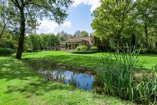   A un jet de pierre de Turnhout se trouve cette réserve naturelle d'environ 8,7 ha avec des domaines (château) attenants. Vivre dans la nature...