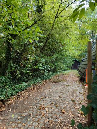 Bouwgrond op topligging, in doodlopende straat met zuid georienteerde tuin. 1000m² met 25m straatbreedte en af te breken woning = registratiekosten 2 ipv 12%, bouwen aan 6 ipv 21% + alle aansluitingen aanwezig.