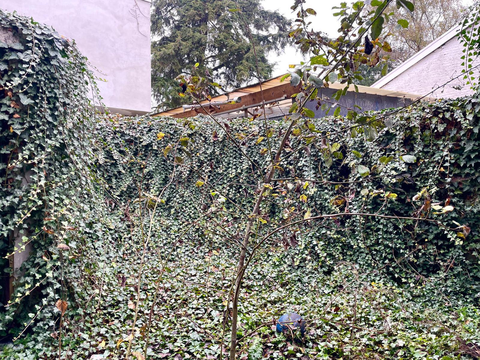 Centraal gelegen gelijkvloerse winkelruimte met tuin! - foto 5