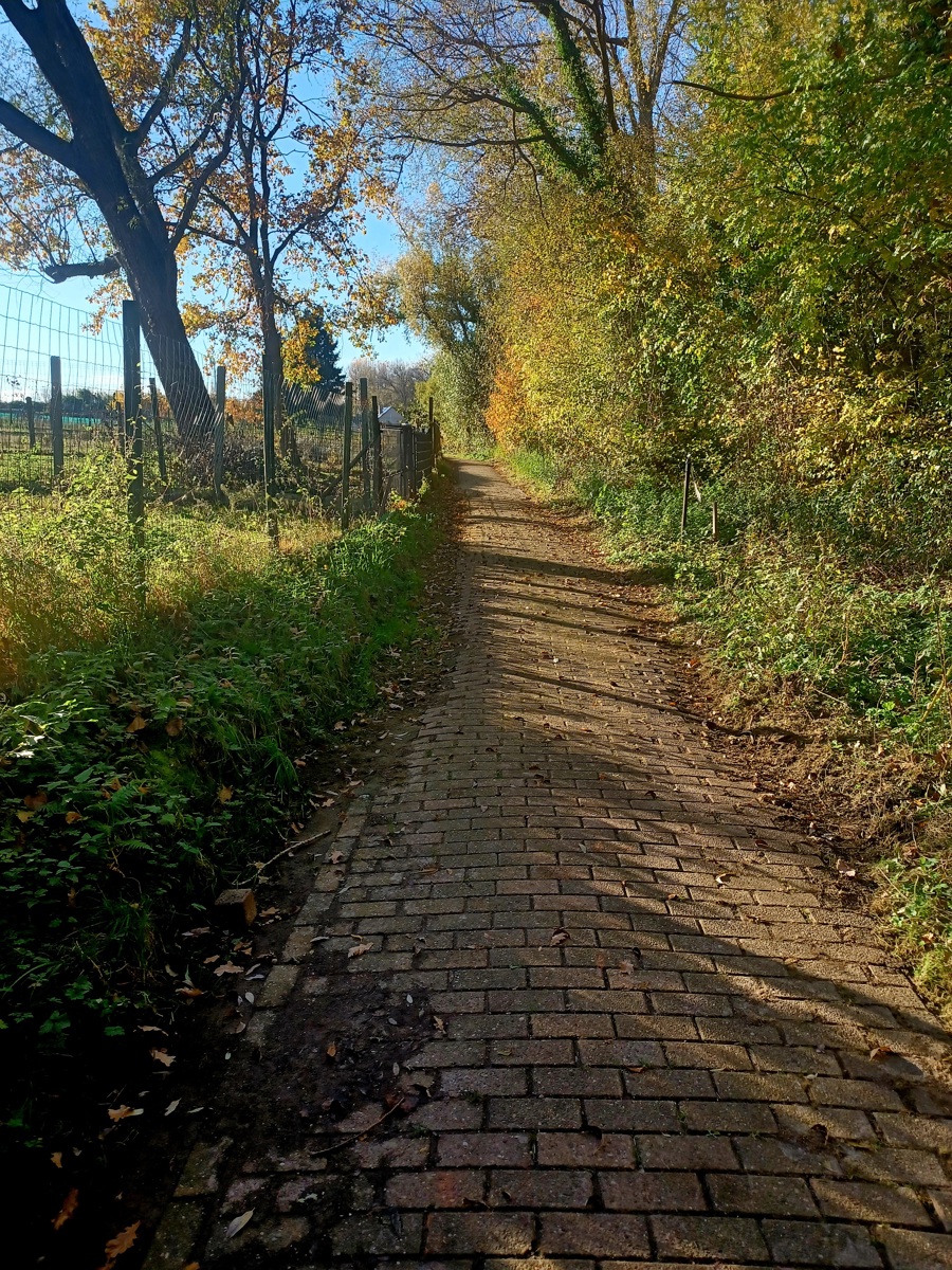Land for sale in Denderleeuw - photo 5