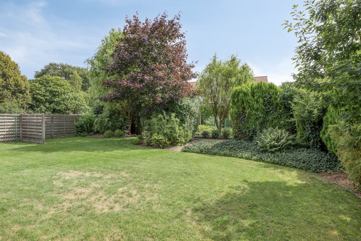 Vrijstaand huis te koop in het centrum van Kasterlee - foto 5