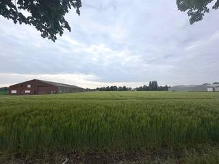 Goed toegankelijk en ruim perceel landbouwgrond op korte afstand van de Haachtsesteenweg. Het perceel heeft een oppervlakte van 1ha en zal pachtvrij zijn na akte. Gvg, Lwag, Gmo, Vkr, Gvv. P-score: A. <br /><br />WETTELIJKE VERPLICHTE VERMELDINGEN:<br />Vergunningen: nee<br />Bestemming: landschappelijk waardevol agrarisch gebied<br />Geen rechterlijke herstelmaatregel of bestuurlijke maatregel opgelegd.<br />Voorkooprecht: ja (de Vlaamse Waterweg nv)<br />Verkaveling: nee<br />P-score: A<br />Het perceel maakt deel uit van de wetenschappelijke inventaris "Floordambos en kasteel de Ribaucourt" als landschappelijk geheel - geen rechtsgevolgen.