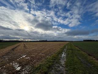 Terrain agricole de 50 ares à Rotselaar Juste à l'extérieur du centre de Werchter, sur le chemin de halage le long de la Dijle, nous trouvons ce...