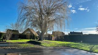 Maison à vendre à Lendelede