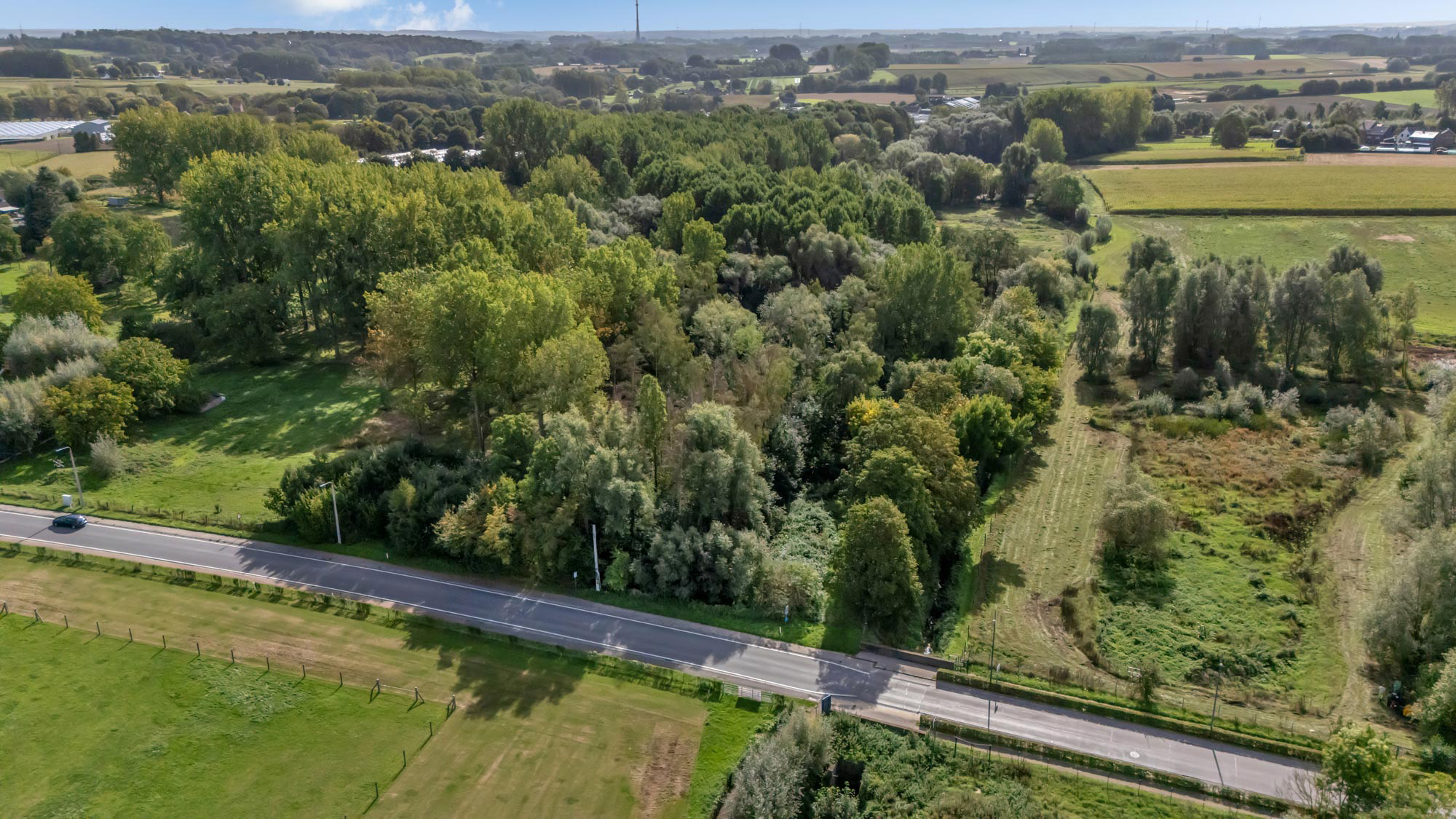 Land for sale in Lennik - photo 4