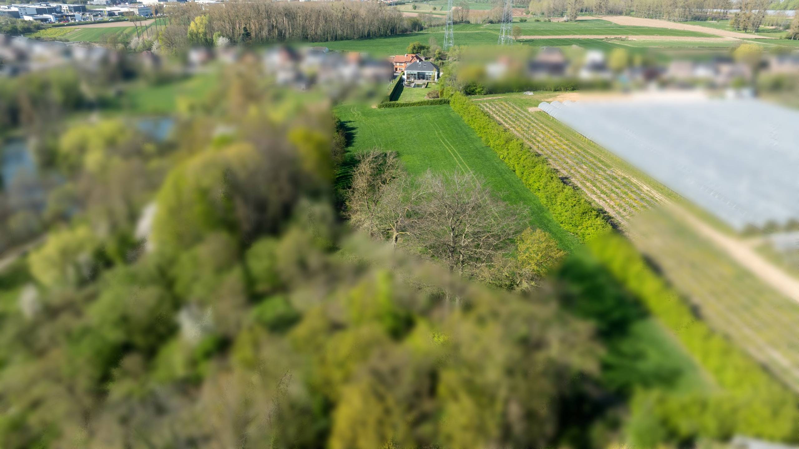 Luxueuze villa met zwembad op riant perceel van 1,5 hectare - foto 4