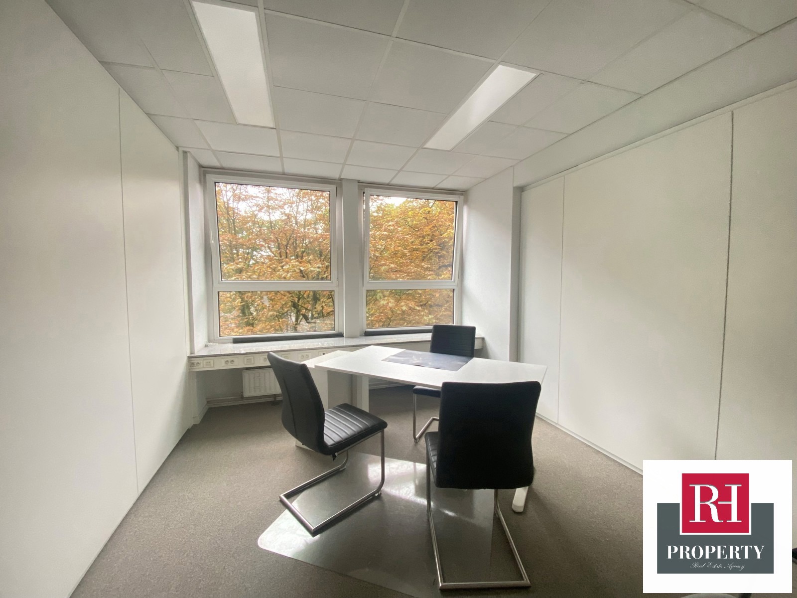 Commercieel te huur in Elsene - foto 4