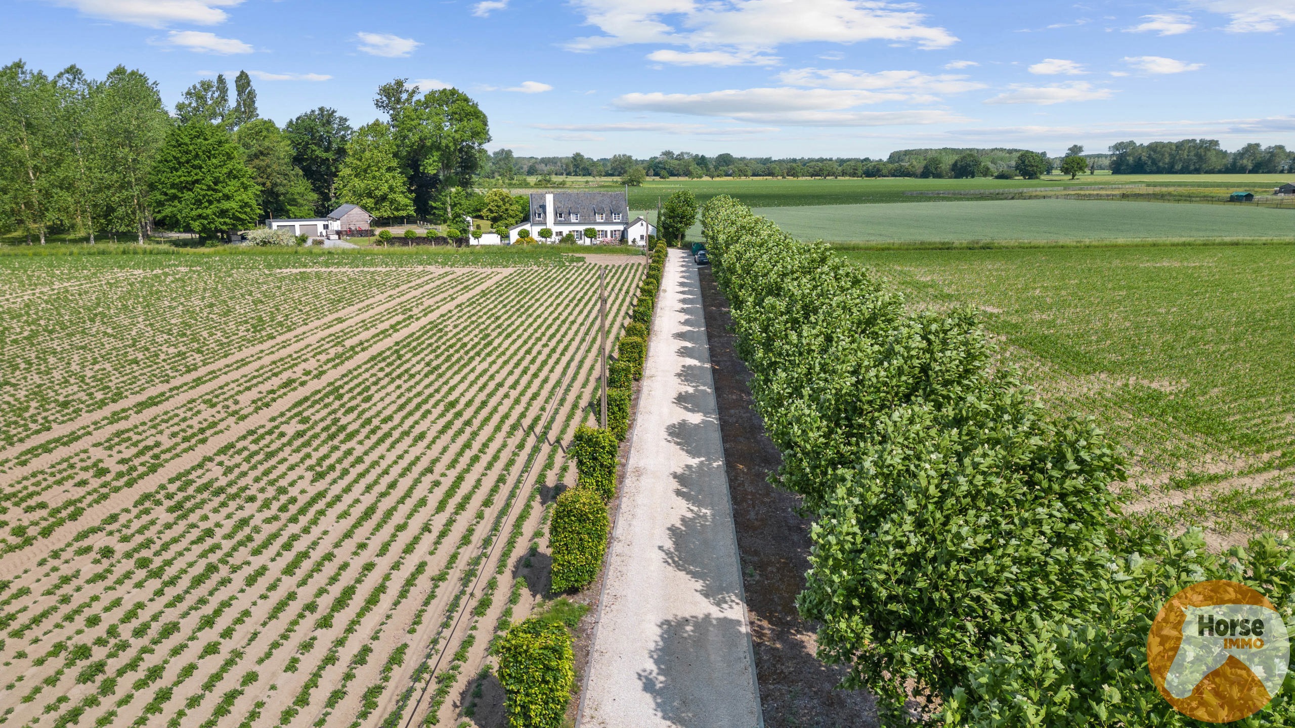 Maison à vendre à Geetbets avec 4 chambres - photo 1