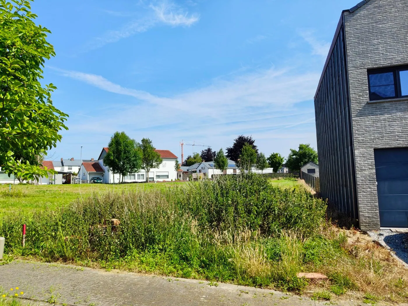Land for sale in Tienen
