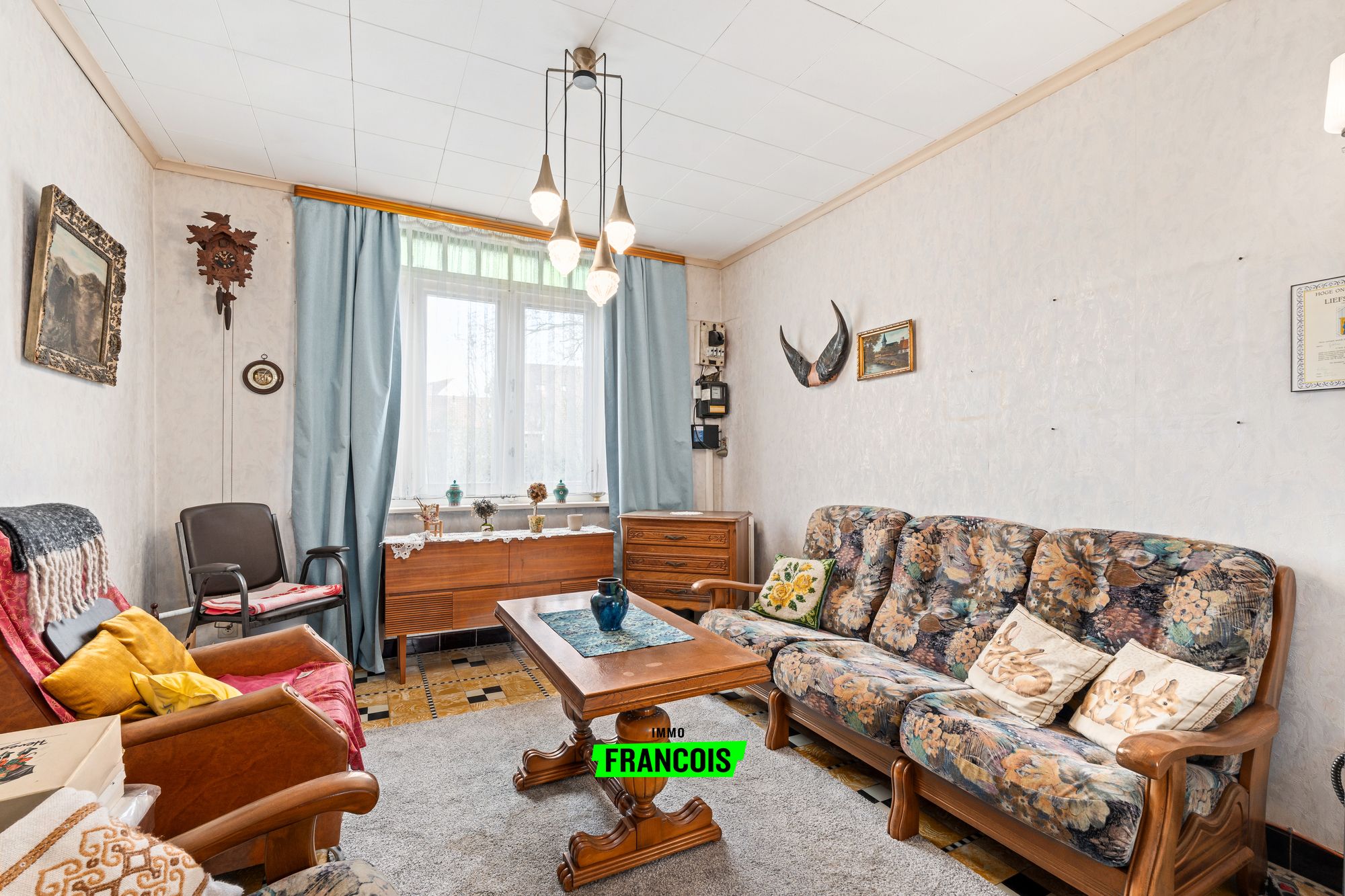 Huis Te Koop met TUIN EN GARAGE te Nieuwpoort - foto 3