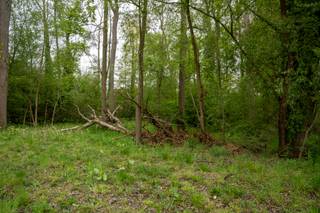 TE KOOP: Exclusieve bouwgrond met vergunning gelegen in de prestigieuze Sparrendreef – Kampenhout Adres: Sparrendreef 7, 1910...